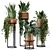 Rusty Concrete Pot Indoor Plants 3D model small image 1