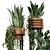 Rusty Concrete Pot Indoor Plants 3D model small image 2