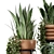 Rusty Concrete Pot Indoor Plants 3D model small image 4