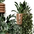 Rusty Concrete Pot Indoor Plants 3D model small image 6