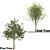 Oak & Pine Duo Forest 3D model small image 2