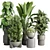 Assorted Indoor Plant Collection 206 3D model small image 1