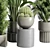 Assorted Indoor Plant Collection 206 3D model small image 4