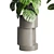 Assorted Indoor Plant Collection 206 3D model small image 6