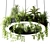 Ring Planter Lamp with Plants 3D model small image 1