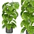 Premium Indoor Monstera Plant Model 3D model small image 2