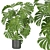 Premium Indoor Monstera Plant Model 3D model small image 3