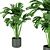 Premium Indoor Monstera Plant Model 3D model small image 4