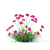 Coastal Armeria Plants Set 3D model small image 2