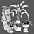 Modern Indoor Plant Collection Set 3D model small image 4