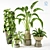 Modern Indoor Plant Collection Set 3D model small image 5