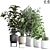 Modern Indoor Plant Set 26 3D model small image 1