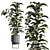 Modern Indoor Plant Set 26 3D model small image 2