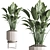 Modern Indoor Plant Set 26 3D model small image 3