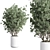 Modern Indoor Plant Set 26 3D model small image 4