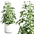 Modern Indoor Plant Set 26 3D model small image 5