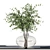 Glass Vase Indoor Plants Bouquet 3D model small image 5