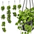 Premium Hanging Pothos Plant Model 3D model small image 1