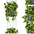 Premium Hanging Pothos Plant Model 3D model small image 4