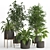 PBR Indoor Plant Set 022 3D model small image 1