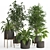 PBR Indoor Plant Set 022 3D model small image 4