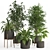 PBR Indoor Plant Set 022 3D model small image 5