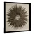 Pheasant Feather Starburst Shadow Box 3D model small image 1