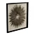 Pheasant Feather Starburst Shadow Box 3D model small image 4