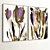 Dual Plaster Photo Frame Set 3D model small image 4