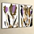 Dual Plaster Photo Frame Set 3D model small image 5