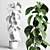 Earthly Elegance Plant Vases 3D model small image 3