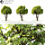 14m Land Scape Tree Model 3D model small image 1