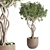 Bonsai Tree Concrete Planter Outdoor 3D model small image 1