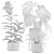 Exotic Indoor Plant Pack Collection 3D model small image 3