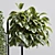 Wall Plant Collection 213 3D model small image 5