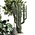 Ficus Rubbery Cactus Concrete Vase 3D model small image 3