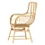 Natural Rattan Accent Chair TOGO 3D model small image 2