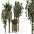 Natural Rattan Indoor Plant Set 3D model small image 1