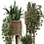 Natural Rattan Indoor Plant Set 3D model small image 2