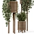 Natural Rattan Indoor Plant Set 3D model small image 3