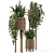 Natural Rattan Indoor Plant Set 3D model small image 6