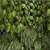 Modern Vertical Green Wall Decor 3D model small image 3