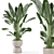 Rustic Indoor Plants Set 652 3D model small image 1