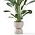 Rustic Indoor Plants Set 652 3D model small image 3