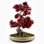 Miniature Bonsai Japanese Maple Tree 3D model small image 3