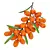 Sea Buckthorn Branch 3D Model 3D model small image 1