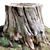  Wood Stump 3D Scan 3D model small image 1
