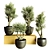 Modern Indoor Plant Collection 72 3D model small image 1