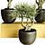 Modern Indoor Plant Collection 72 3D model small image 3