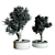 BonVray Bonsai Indoor Plant 3D model small image 4